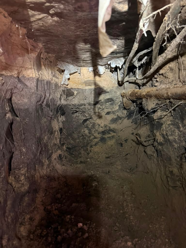 Recent excavation project